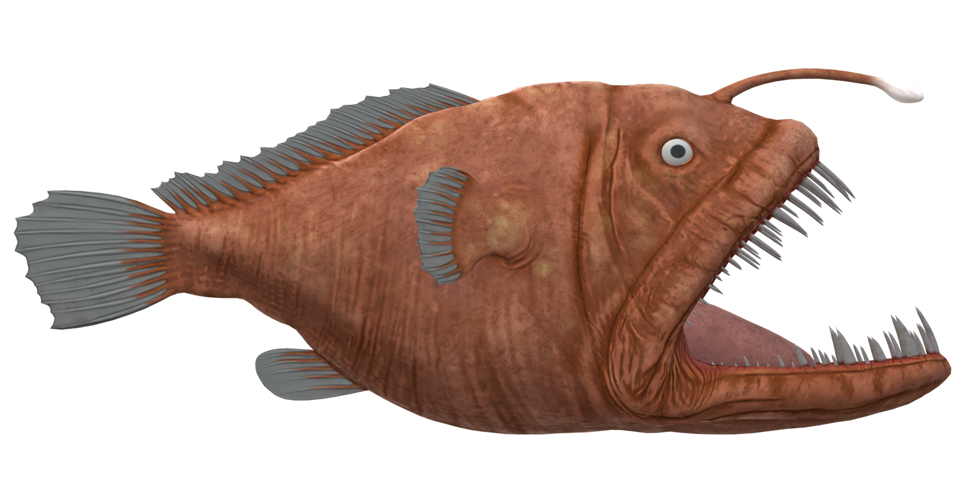 Anglerfish, transparent animal profile image