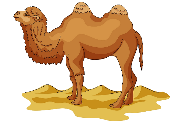 Bactrian Camel, transparent animal profile image