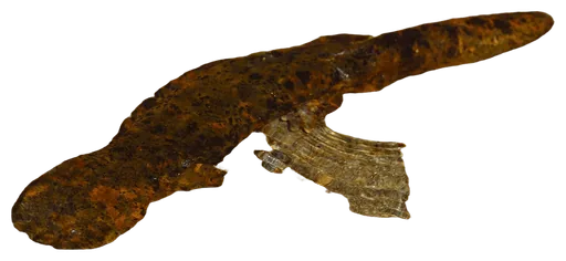 Hellbender