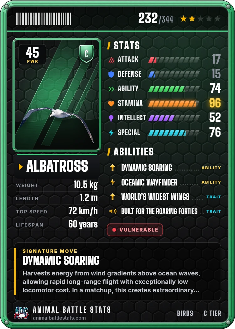 Albatross Stats: Strength, Speed, Size & Power Ranking | Animal Battle ...