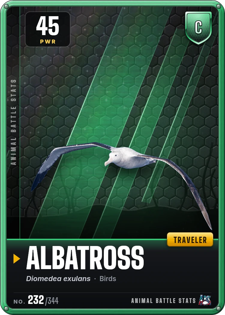 Albatross Stats: Strength, Speed, Size & Power Ranking | Animal Battle ...