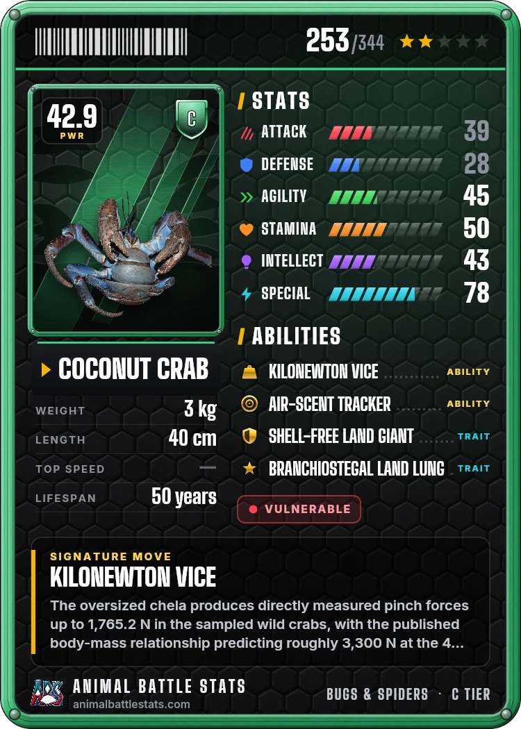 Coconut Crab Stats: Strength, Speed, Size & Power Ranking | Animal ...