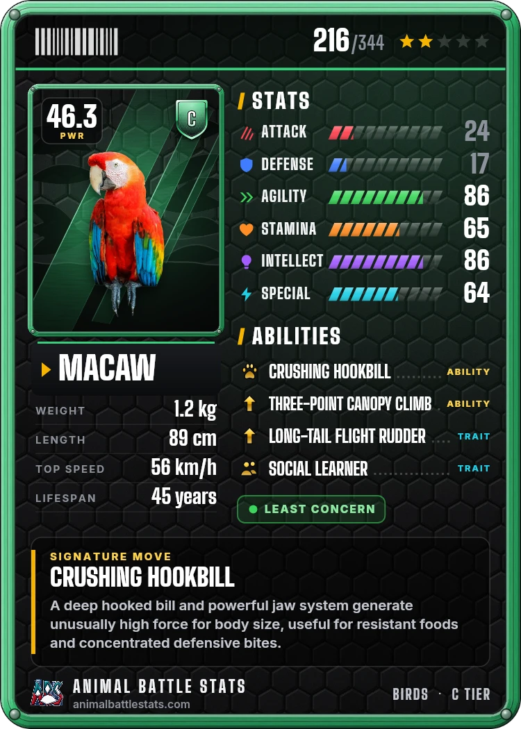 Macaw Stats: Strength, Speed, Size & Power Ranking | Animal Battle Stats