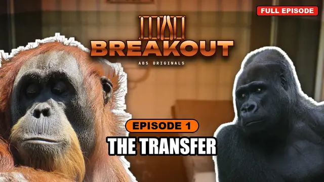 BREAKOUT episode 1: The Transfer