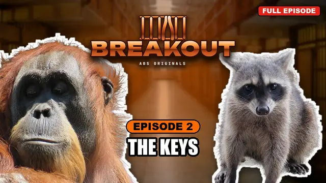 BREAKOUT episode 2: The Keys