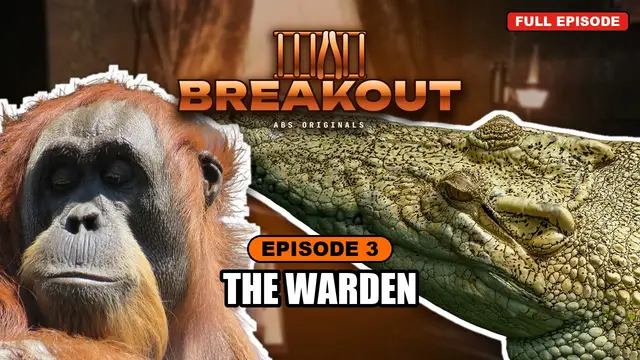 BREAKOUT episode 3: The Warden