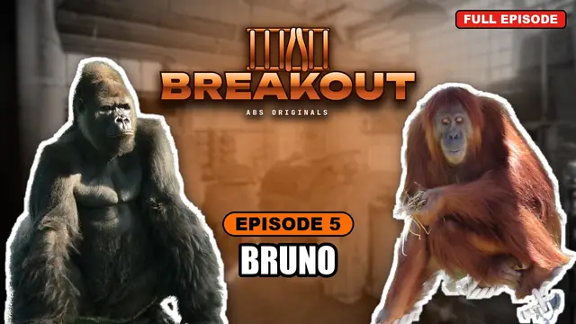 BREAKOUT episode 5: Bruno