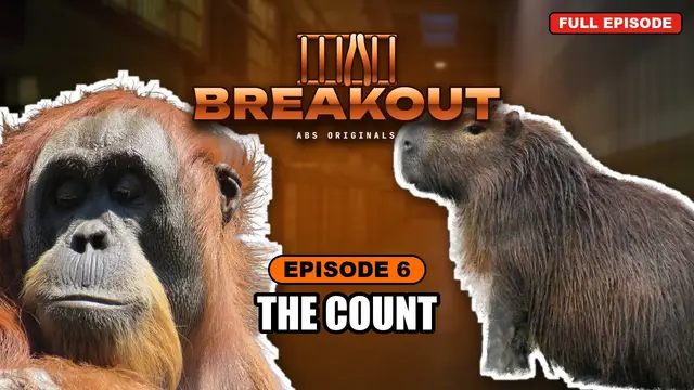 BREAKOUT episode 6: The Count