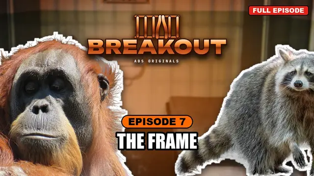 BREAKOUT episode 7: The Frame