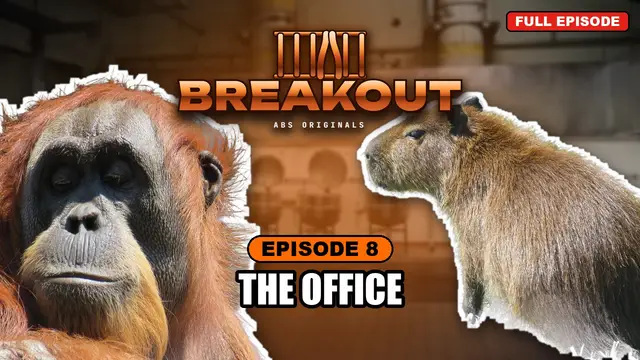 BREAKOUT episode 8: The Office