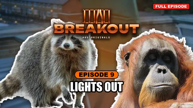 BREAKOUT episode 9: Lights Out
