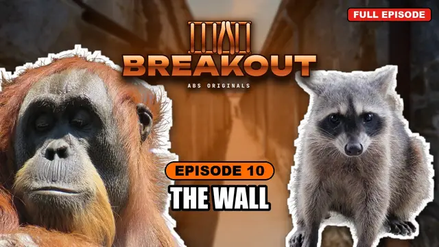 BREAKOUT episode 10: The Wall