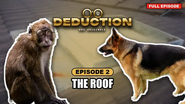 DEDUCTION episode 2: The Roof
