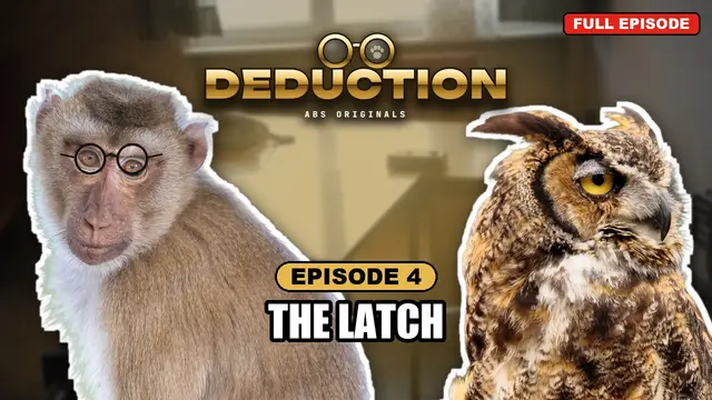 DEDUCTION episode 4: The Latch