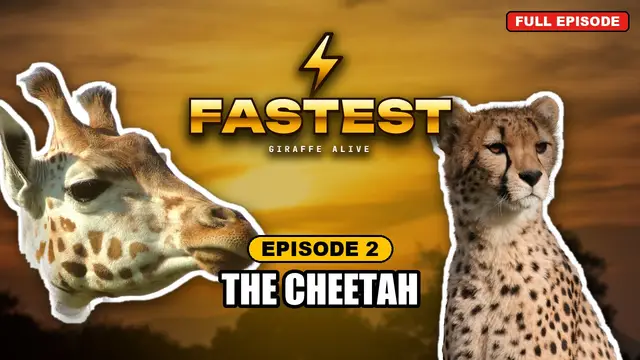 FASTEST episode 2: The Cheetah