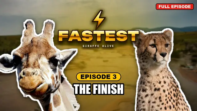FASTEST episode 3: The Finish