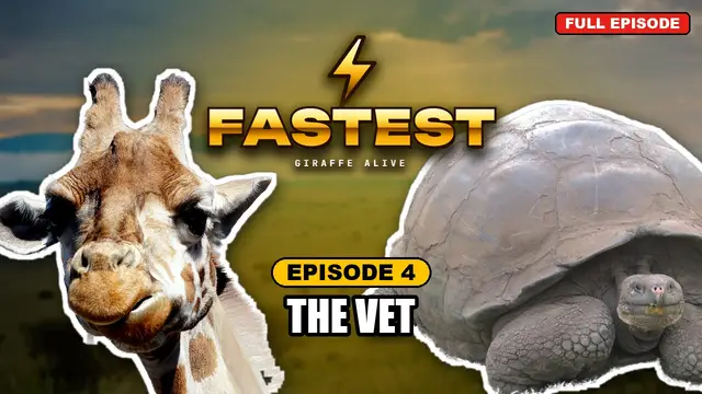 FASTEST episode 4: The Vet