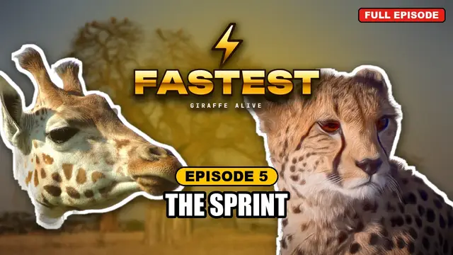 FASTEST episode 5: The Sprint