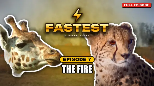 FASTEST episode 7: The Fire